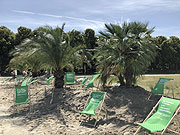 Auf der Theresienwiese entstand ein Palmengarten mit Sand und Liegestühlen (©Foto: Martin Schmitz)